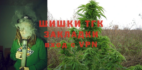 молекула духа Бугульма