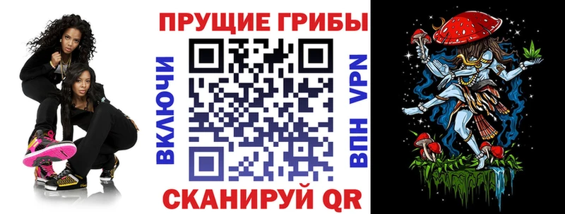 omg вход  магазин  наркотиков  нарко площадка формула  Галлюциногенные грибы Magic Shrooms  Севастополь 